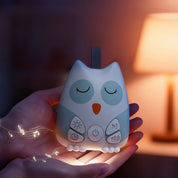 Veilleuse hibou bruit blanc allumée tenue dans les mains